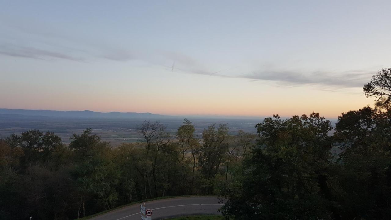 Domaine Du Haut-Koenigsbourg Orschwiller Ngoại thất bức ảnh